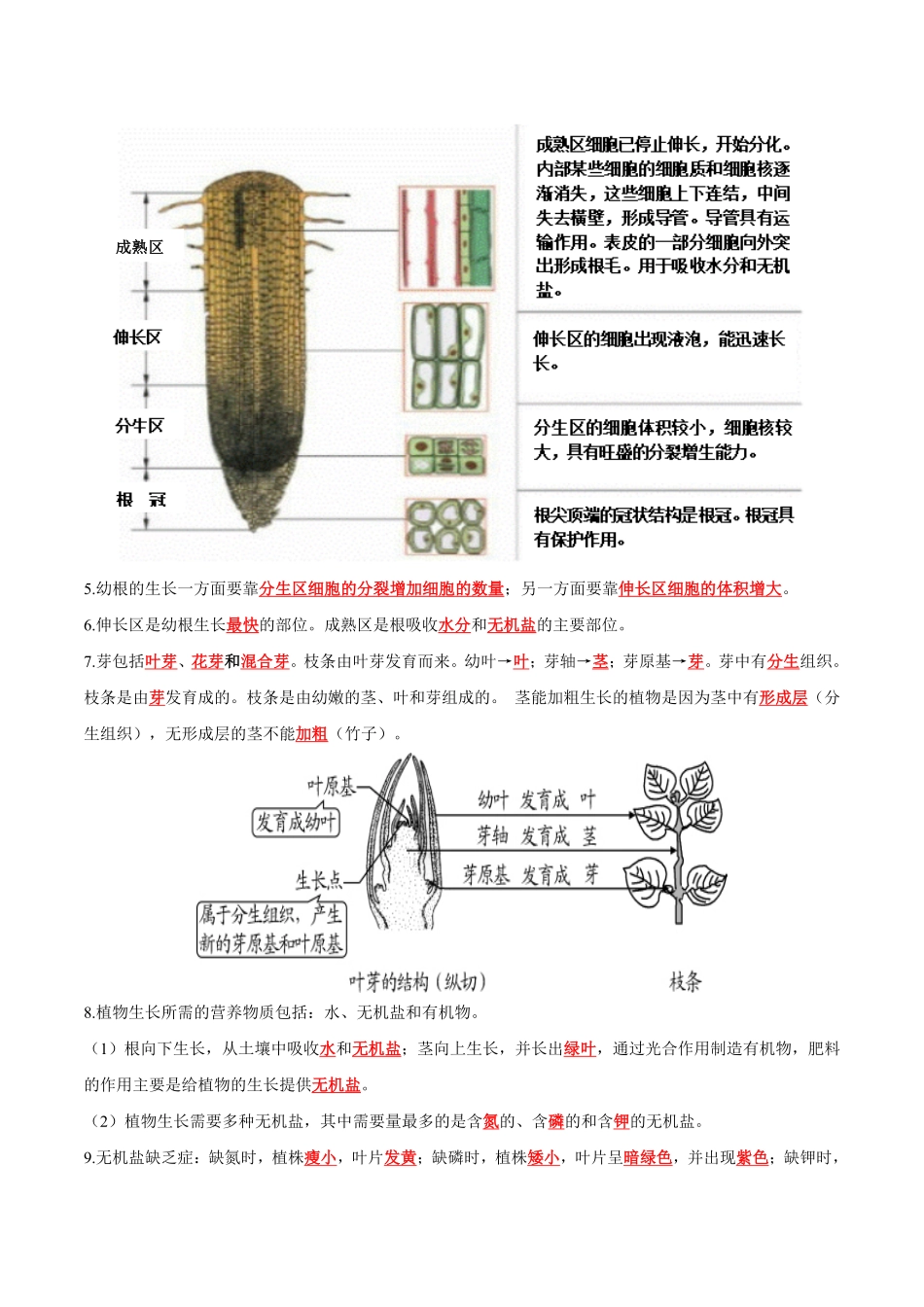 专题06被子植物的一生知识清单七年级生物上册期末考点大串讲人教版含答案.pdf_第2页
