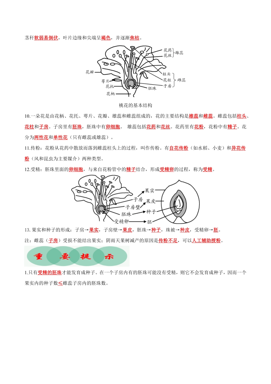 专题06被子植物的一生知识清单七年级生物上册期末考点大串讲人教版含答案.pdf_第3页