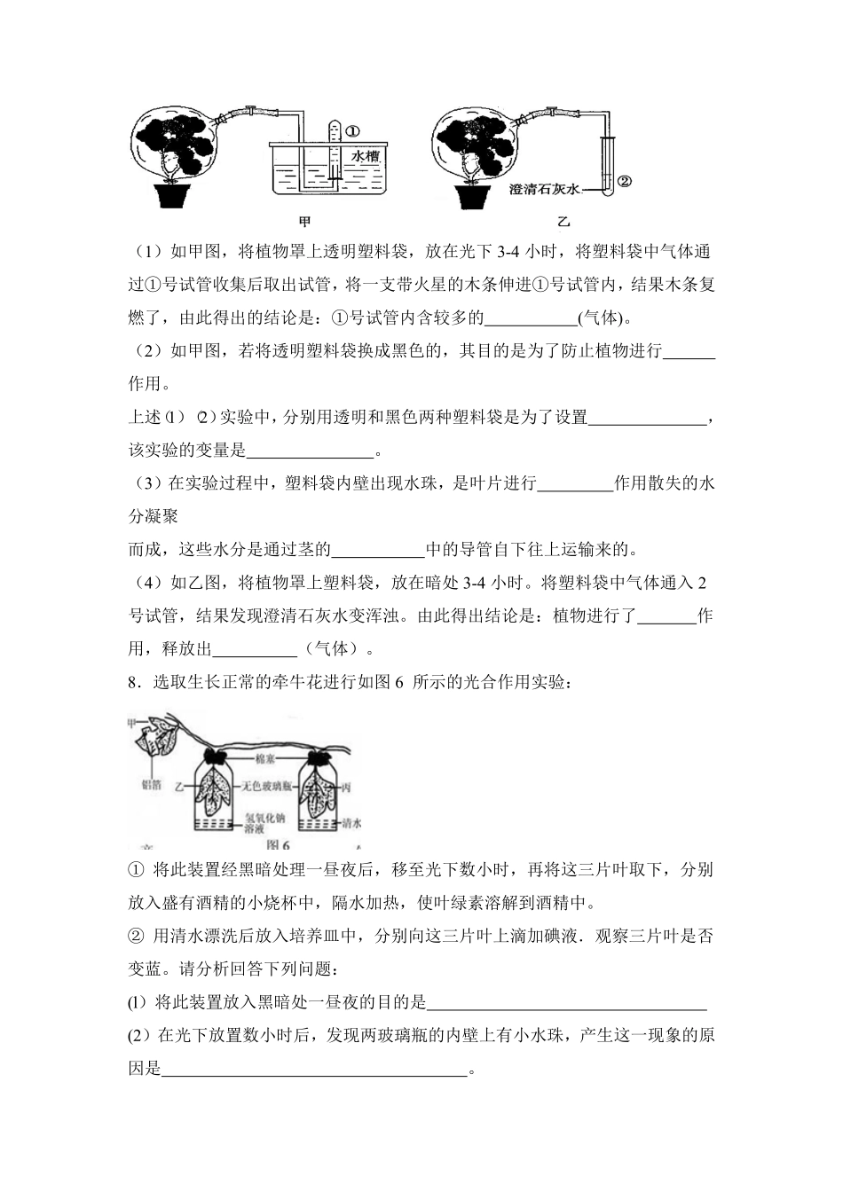 《绿色植物是生物圈中有机物的制造者》课时练试卷1含答案.pdf_第3页