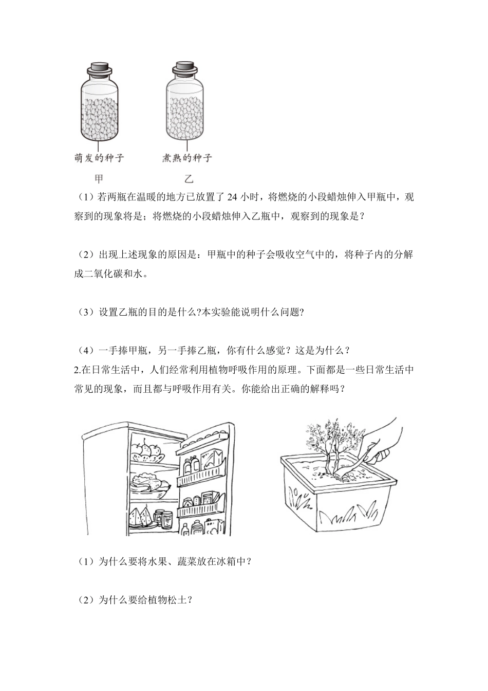 《绿色植物是生物圈中有机物的制造者》课时练试卷2含答案.pdf_第2页