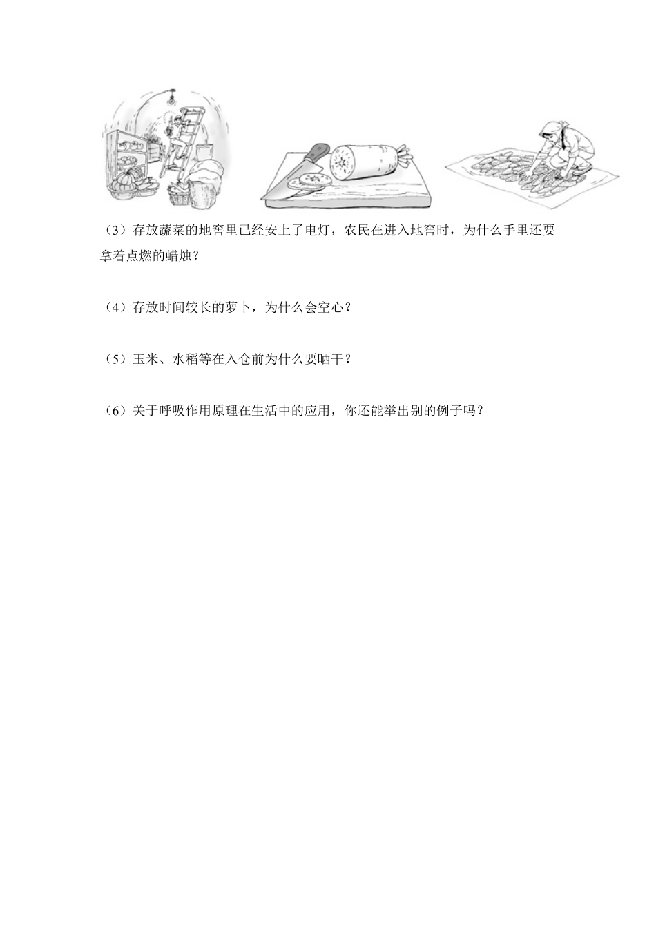 《绿色植物是生物圈中有机物的制造者》课时练试卷2含答案.pdf_第3页