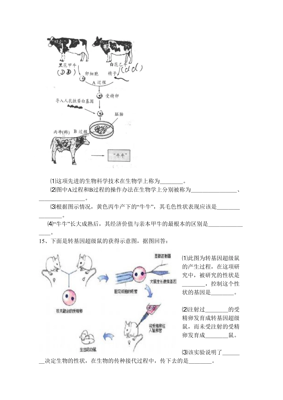 《基因控制生物的性状》同步练习3含答案.pdf_第3页