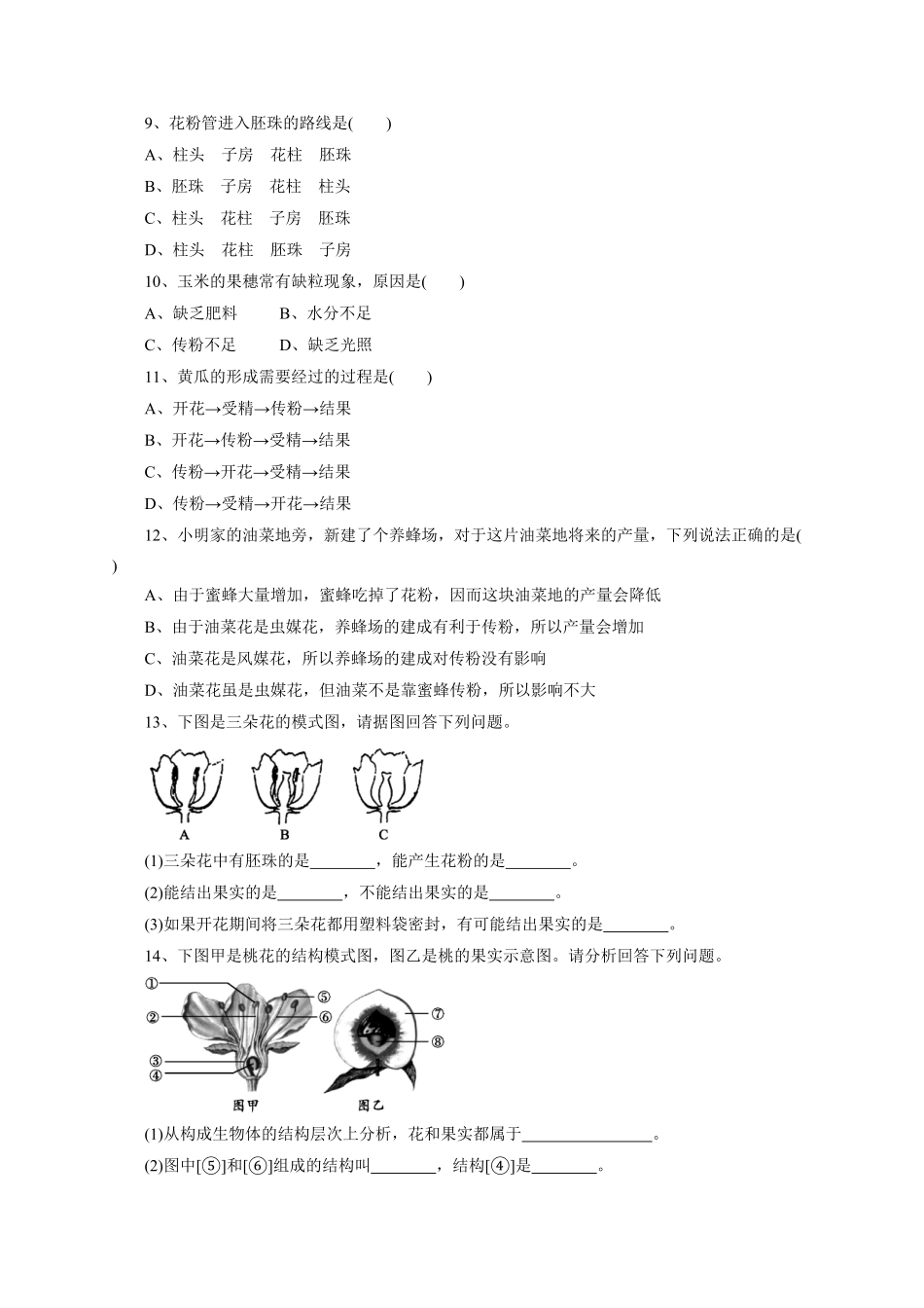 《开花和结果》课时练试卷3含答案.pdf_第2页