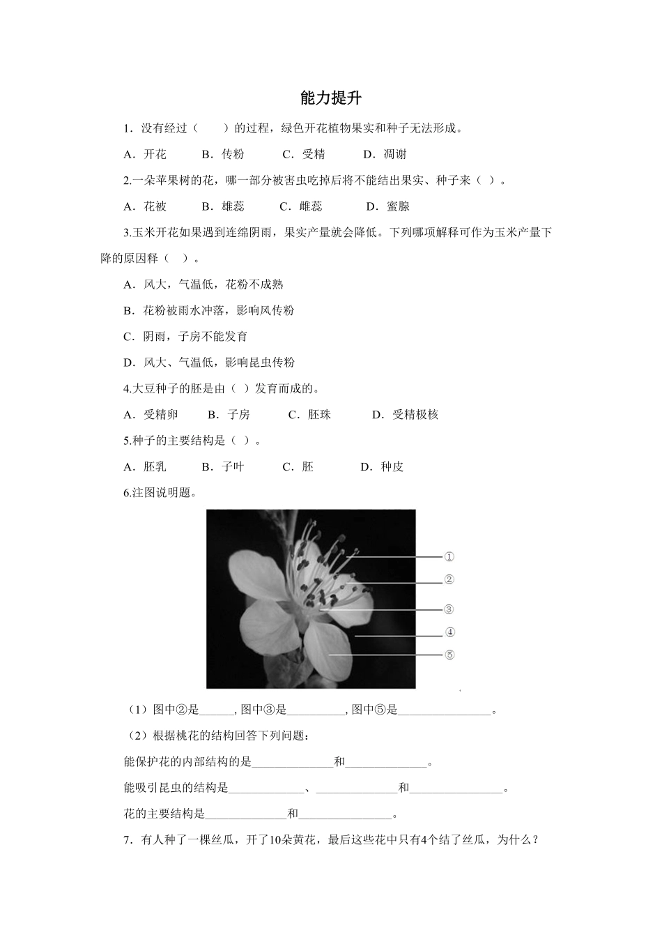 《开花和结果》课时练试卷4含答案.pdf_第1页