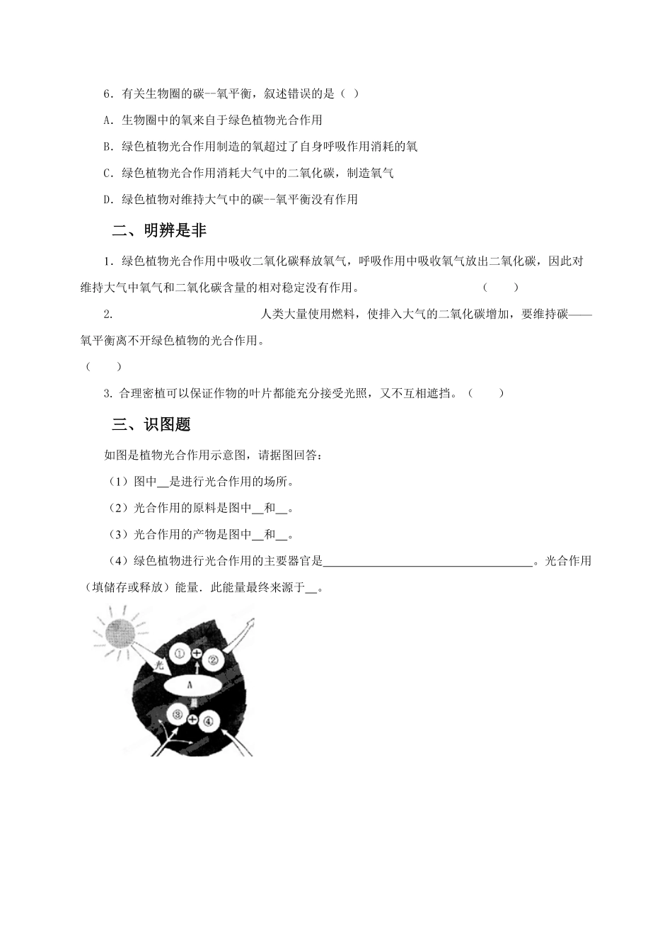 《光合作用吸收二氧化碳释放氧气》课时练试卷4含答案.pdf_第2页