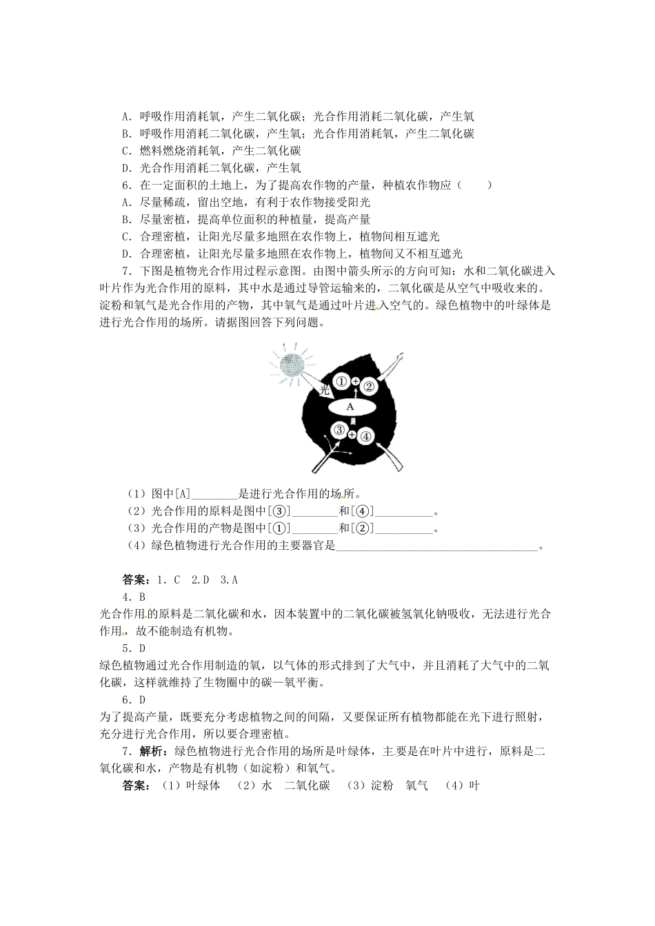 《光合作用吸收二氧化碳放出氧气》课时练试卷3含答案.pdf_第3页