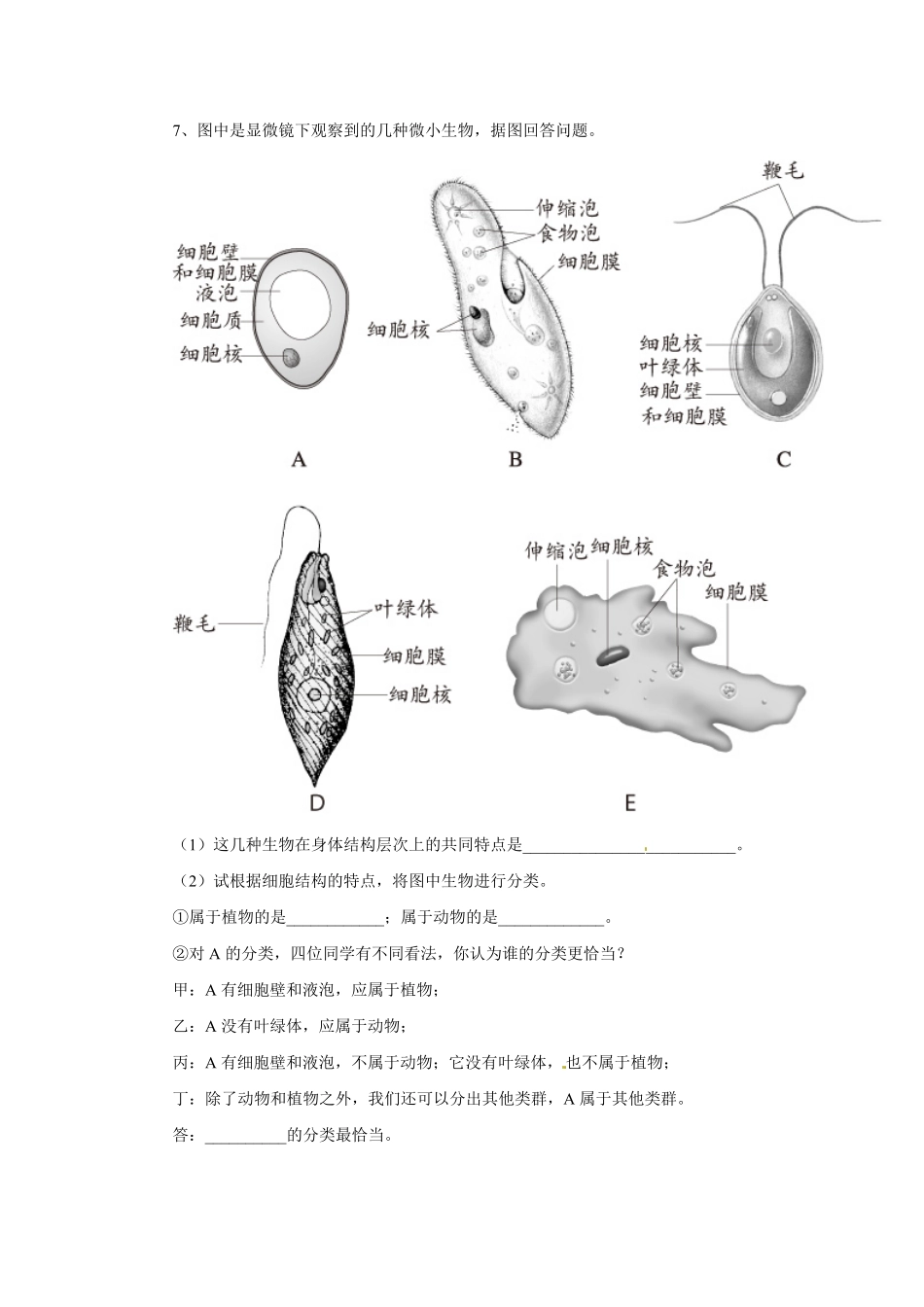 《单细胞生物》课时练试卷3含答案.pdf_第2页