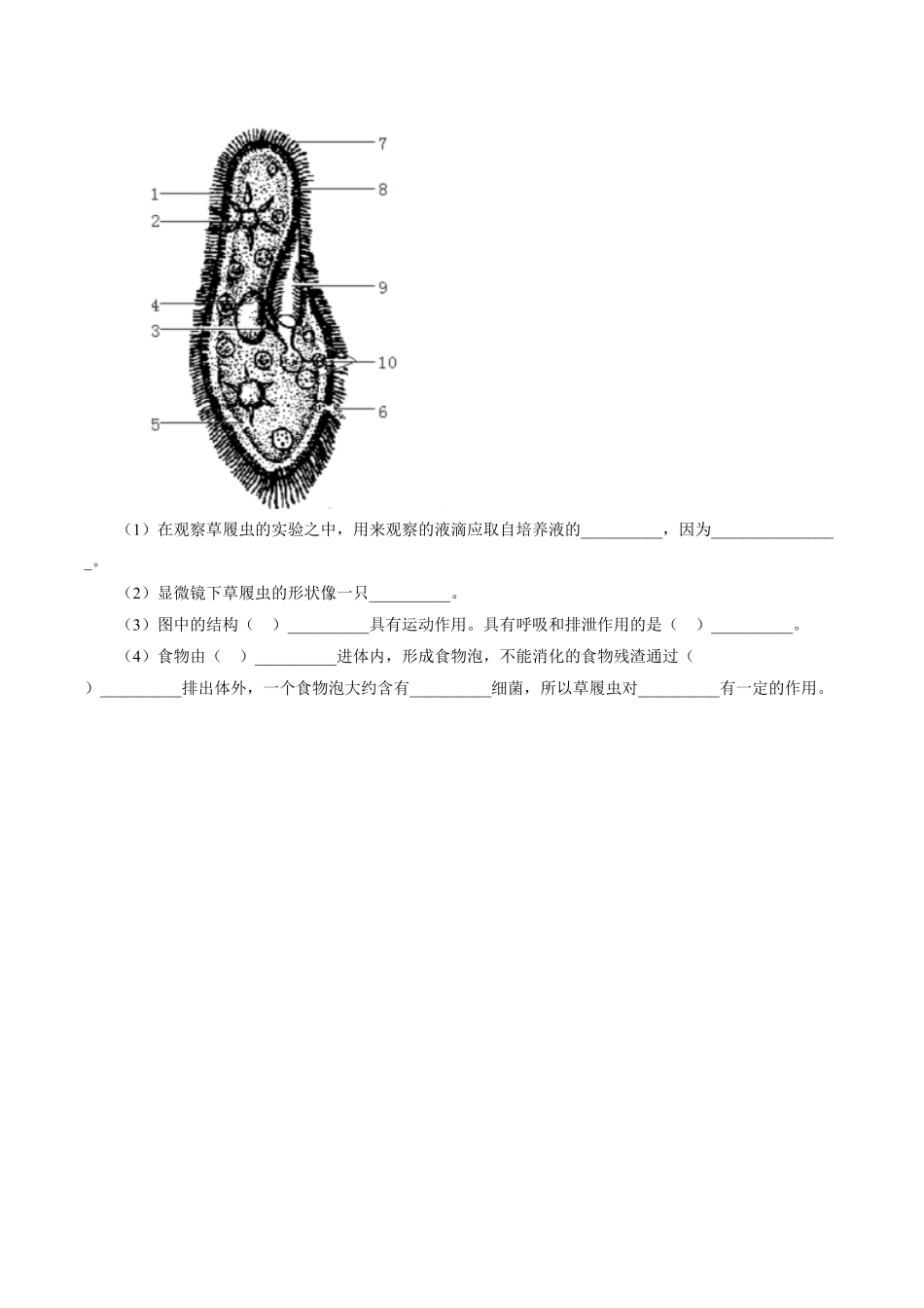 《单细胞生物》课时练试卷4含答案.pdf_第2页