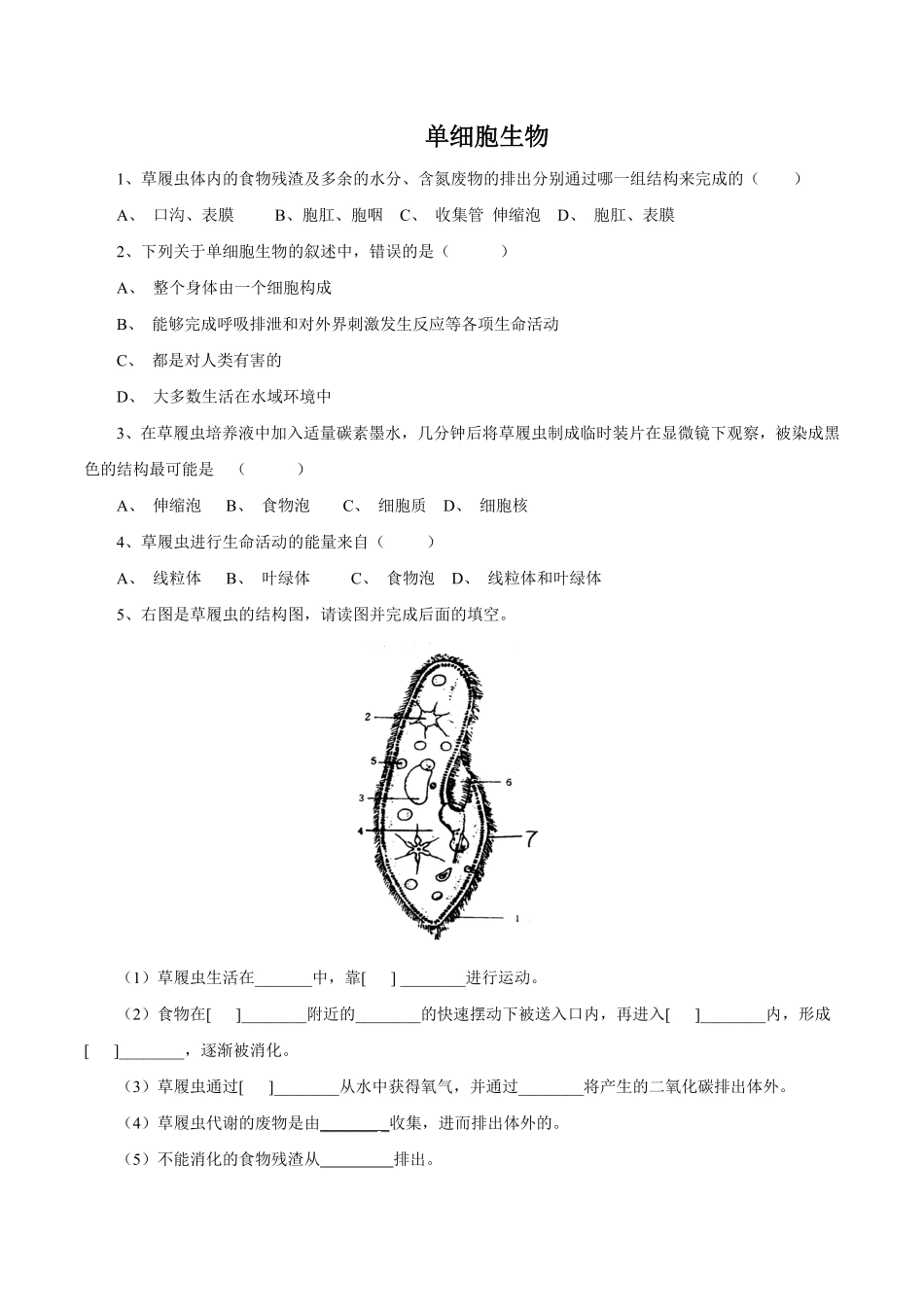 《单细胞生物》课时练试卷1含答案.pdf_第1页