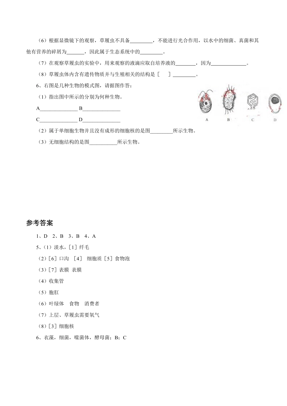 《单细胞生物》课时练试卷1含答案.pdf_第2页