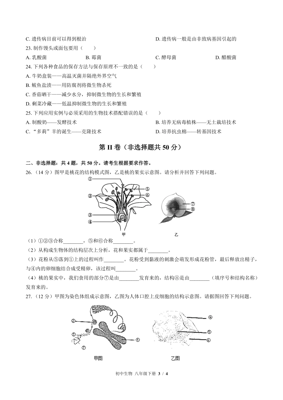 苏教版初中生物八年级下册期中测试01含答案解析.pdf_第3页
