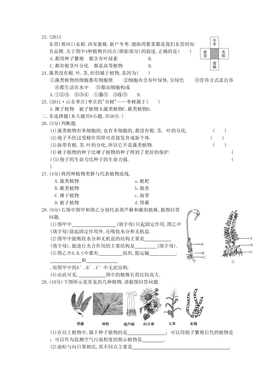 七年级上册生物第三单元试卷及答案.pdf_第2页