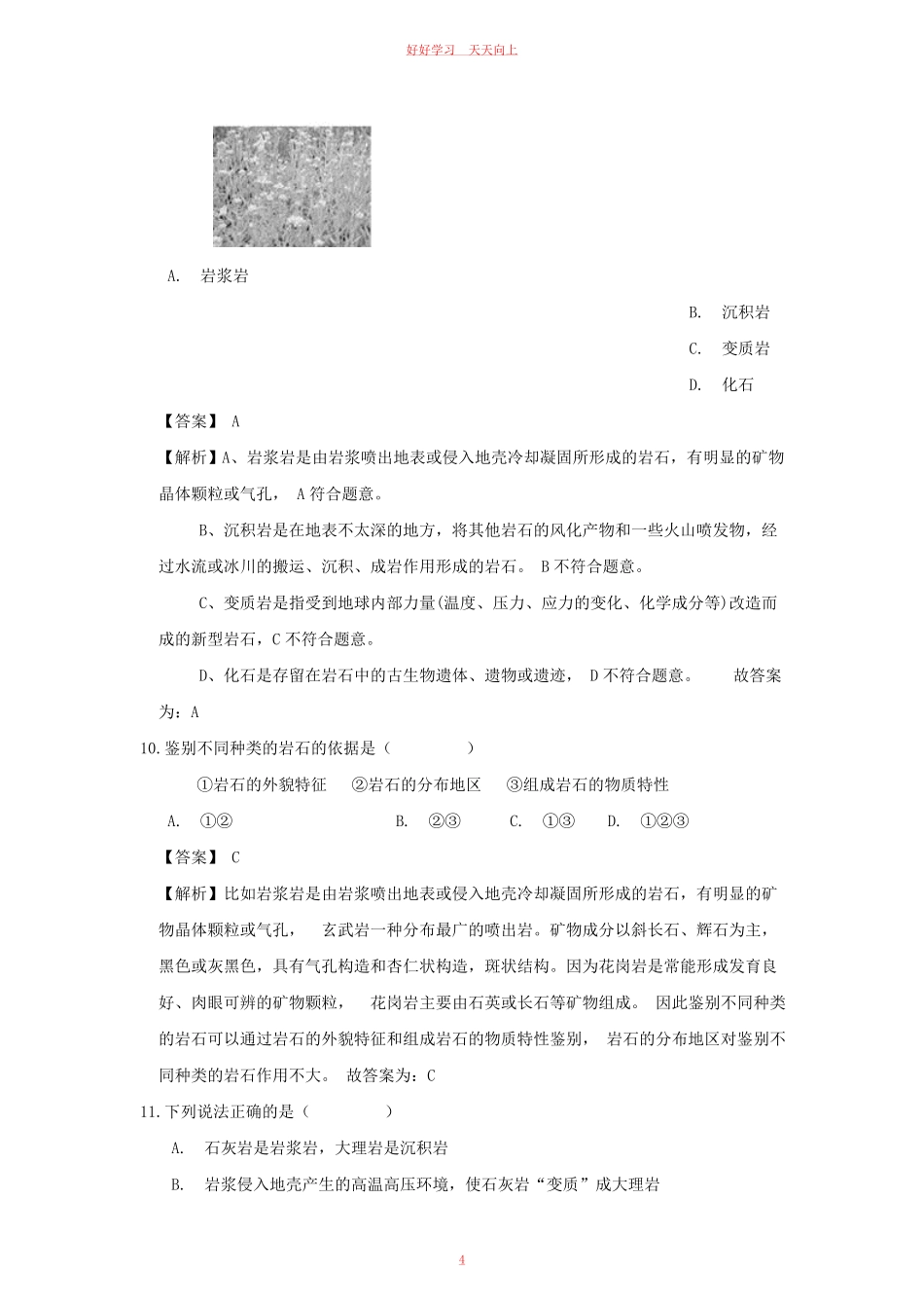七年级上册生物第三单元测试卷及答案浙教版A卷.pdf_第3页