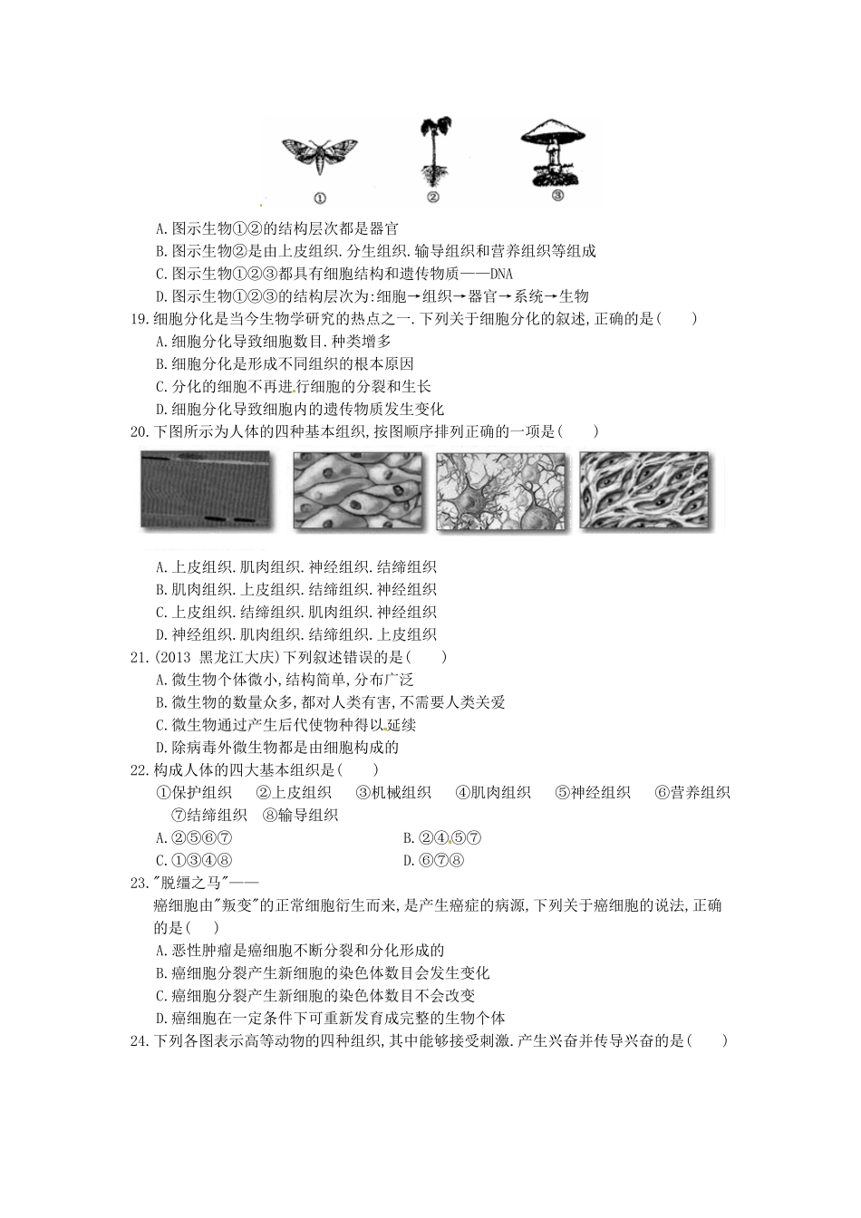 七年级上册生物第二单元试卷及答案.pdf_第2页