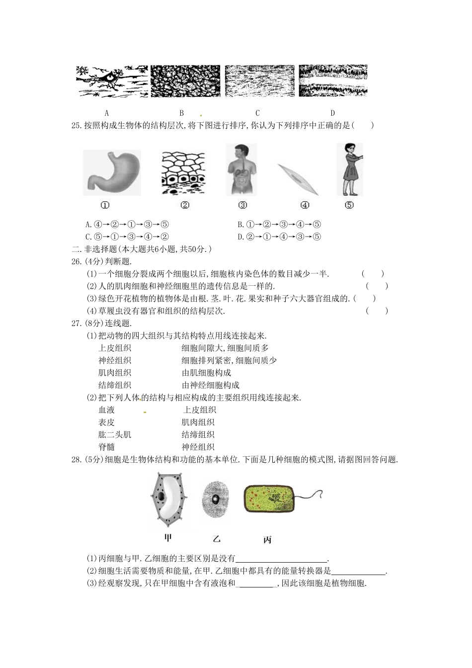 七年级上册生物第二单元试卷及答案.pdf_第3页