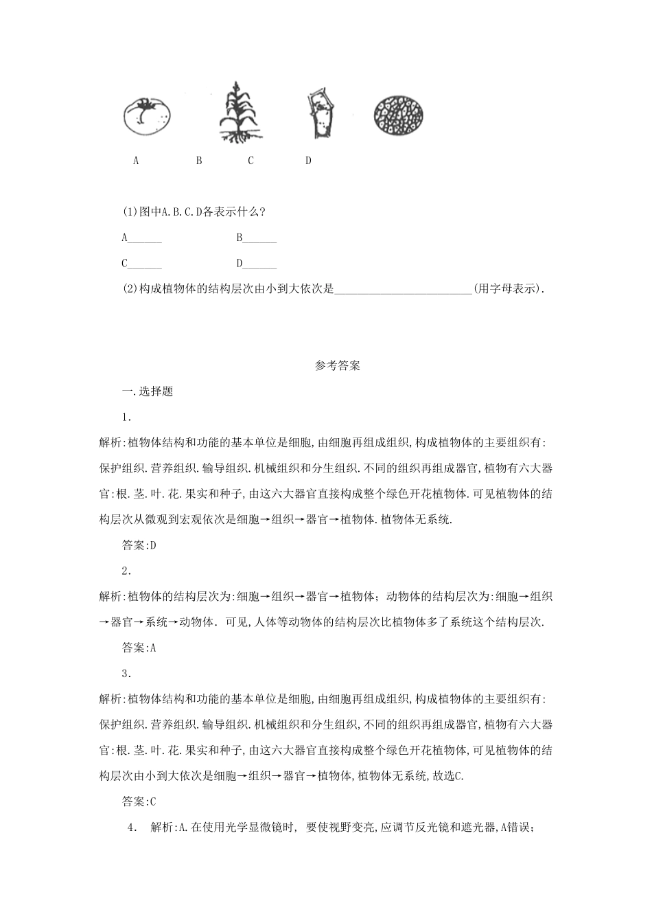 七年级上册生物第二单元第二章第三节试卷及答案.pdf_第2页