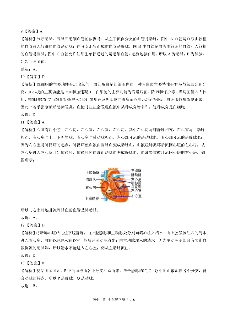 北师大版-初中生物七年级下册期中测试试卷01含答案在前.pdf_第3页