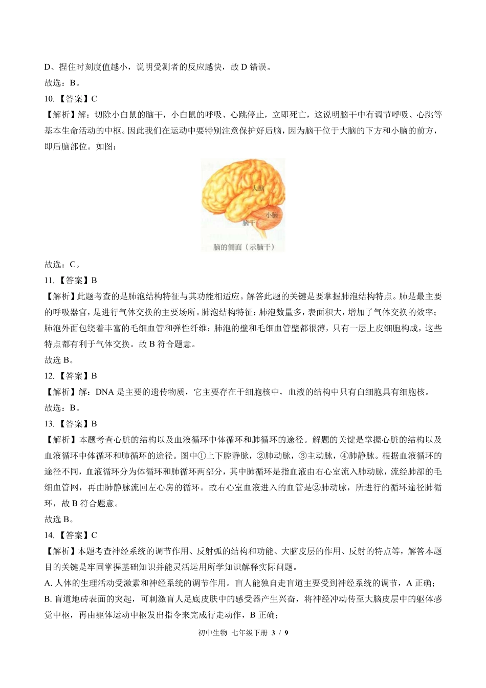 北师大版-初中生物七年级下册期末测试试卷01含答案在前.pdf_第3页