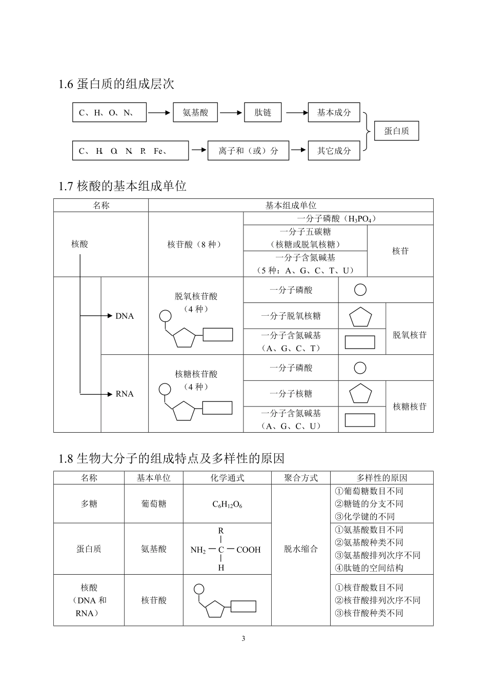 高中生物总复习知识点总结全.pdf_第3页