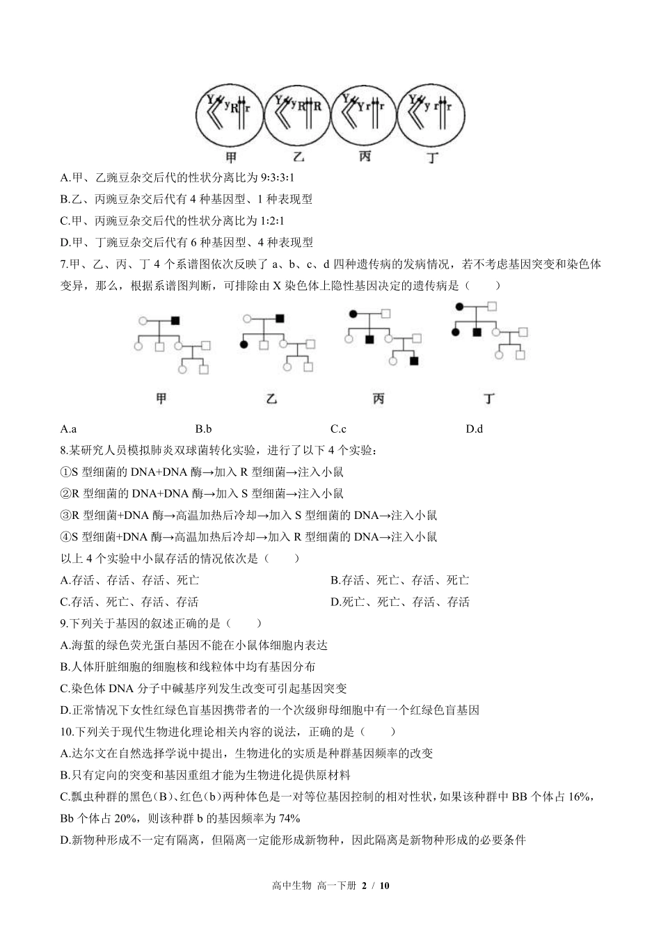 高中生物高一年级下册期末测试03含答案解析.pdf_第2页