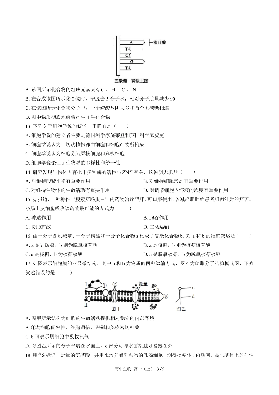 高中生物高一年级上册期中测试02含答案解析.pdf_第3页