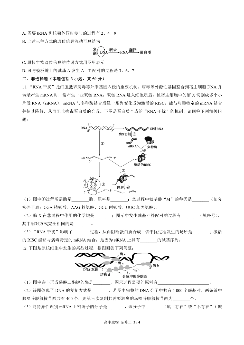 高中生物必修2遗传与进化第4章综合测试02含答案解析.pdf_第3页