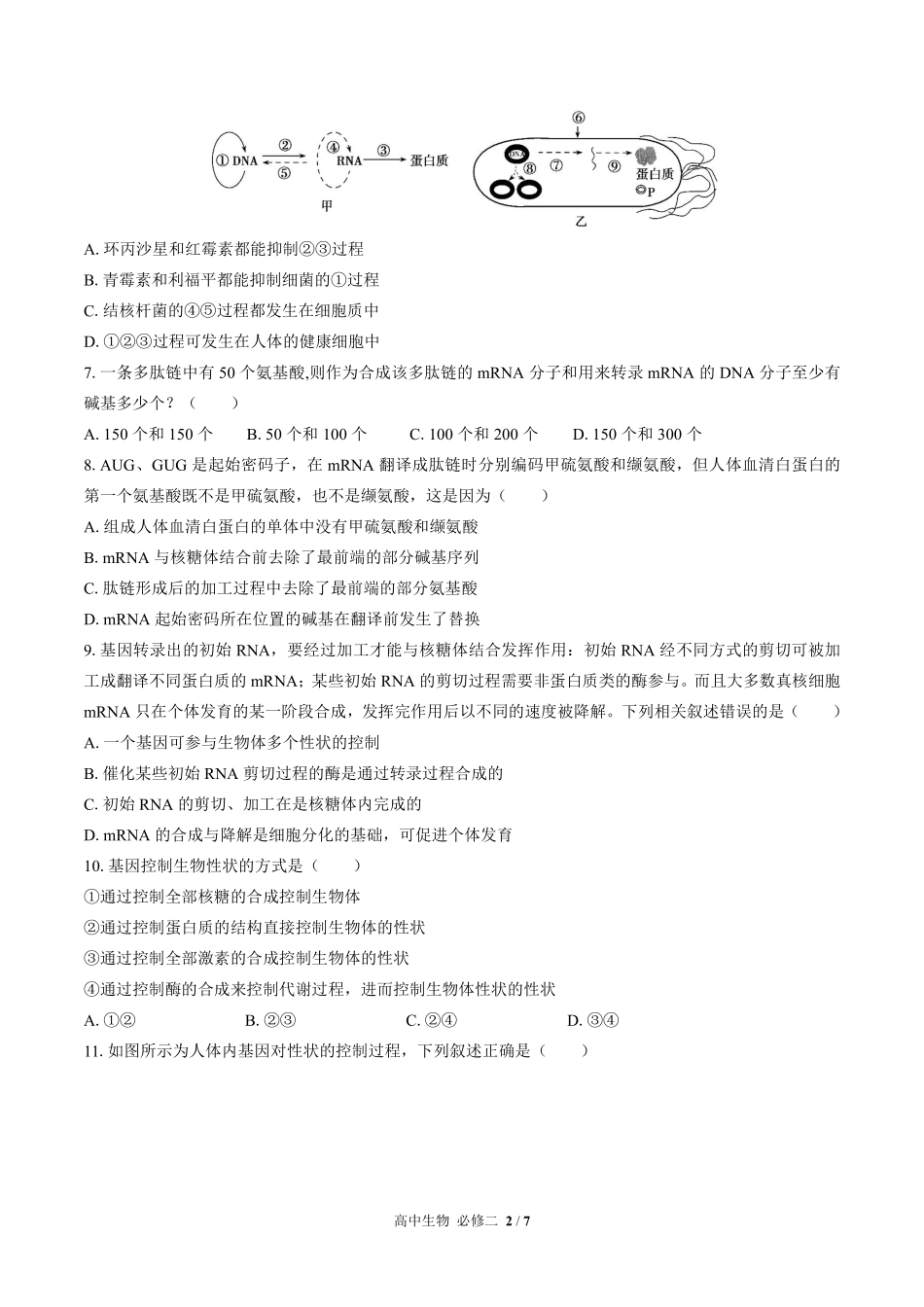 高中生物必修2遗传与进化第4章综合测试01含答案解析.pdf_第2页