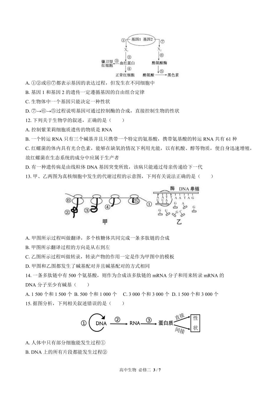 高中生物必修2遗传与进化第4章综合测试01含答案解析.pdf_第3页