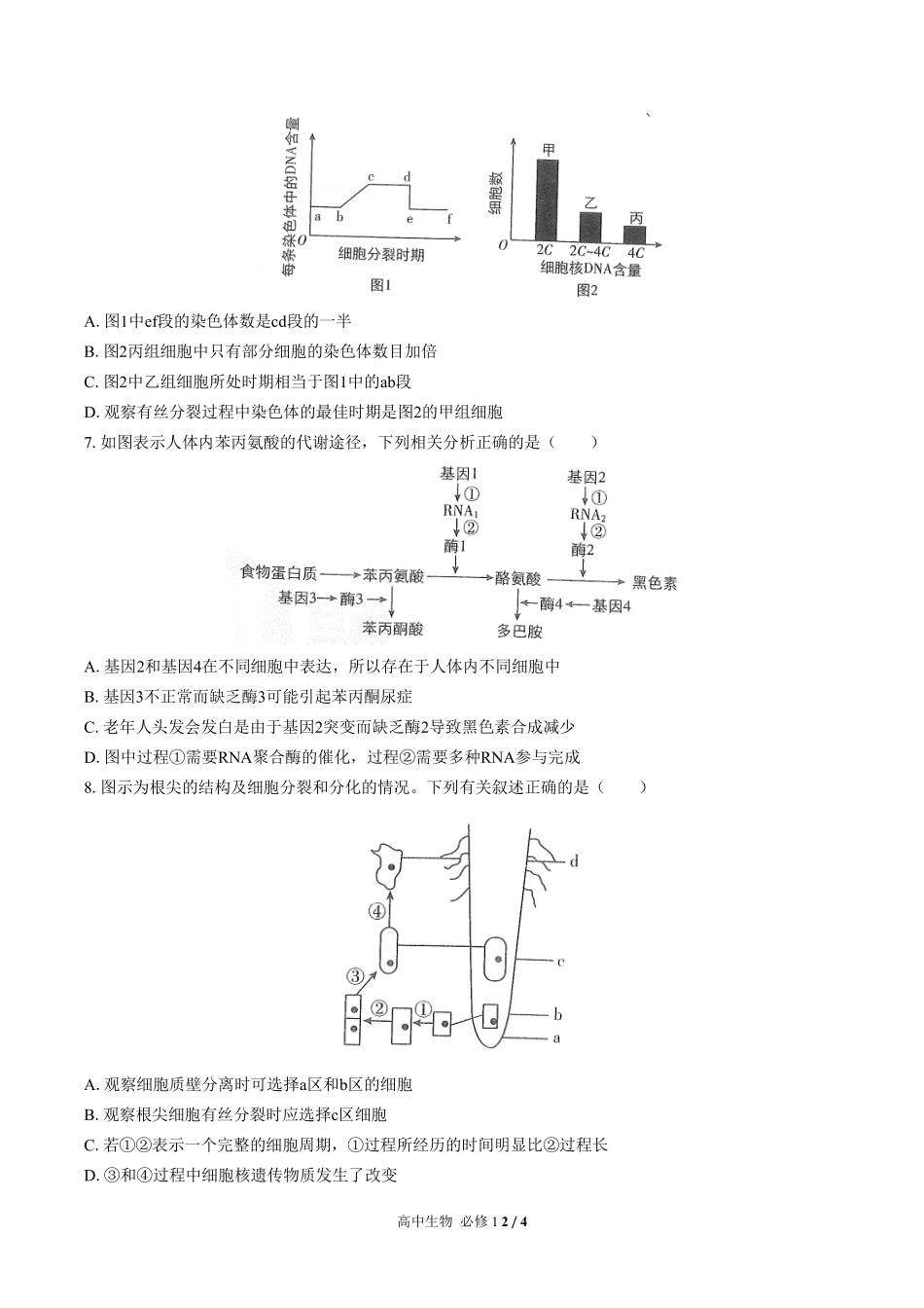 高中生物必修1第6章综合测试02含答案解析.pdf_第2页