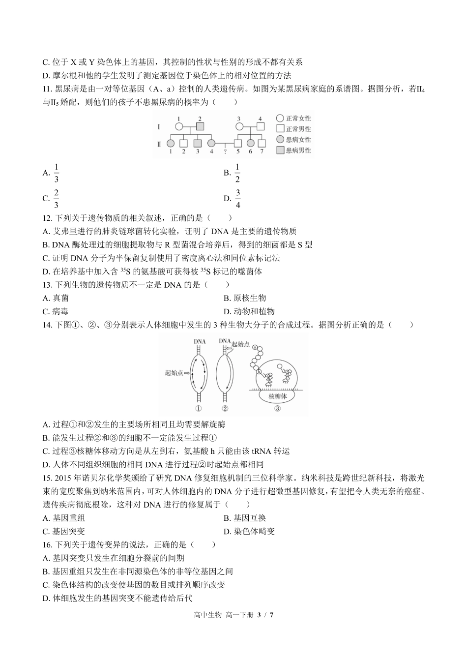 高中生物高一年级下册期末测试01含答案解析.pdf_第3页