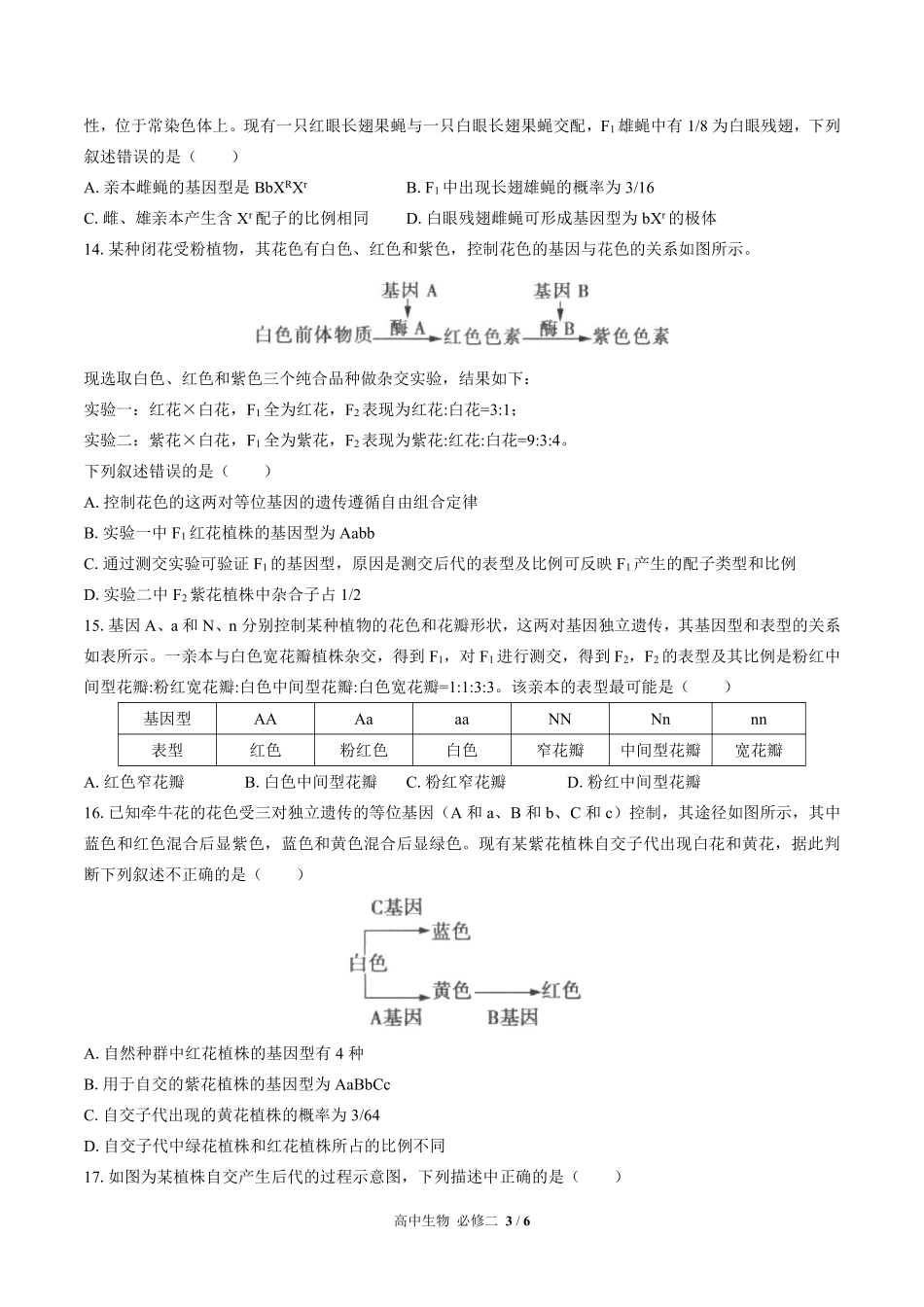 高中生物必修2遗传与进化第1章综合测试03含答案解析.pdf_第3页