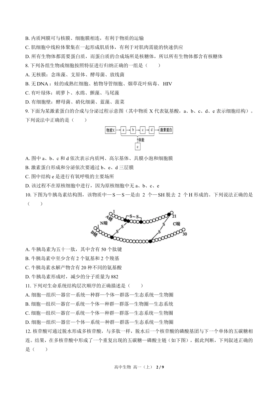 645-人教版-高中生物高一年级上册期中测试试卷含答案在前.pdf_第3页