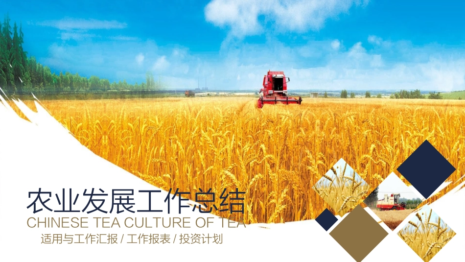农业风格PPT模板5(2).pptx_第1页