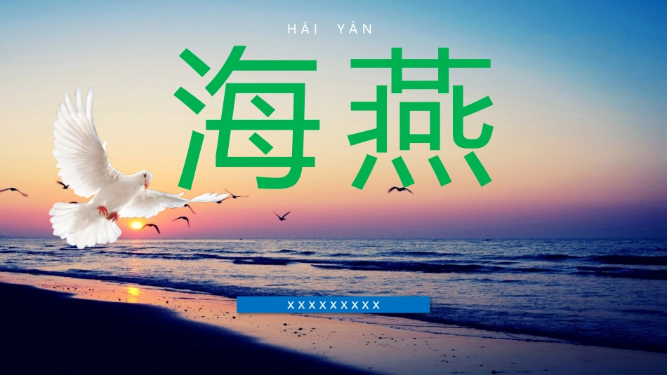 《海燕2》名著导读好书推荐PPT (2).pptx_第1页