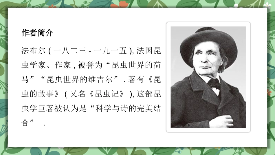 《昆虫记5》名著导读好书推荐PPT (2).pptx_第3页