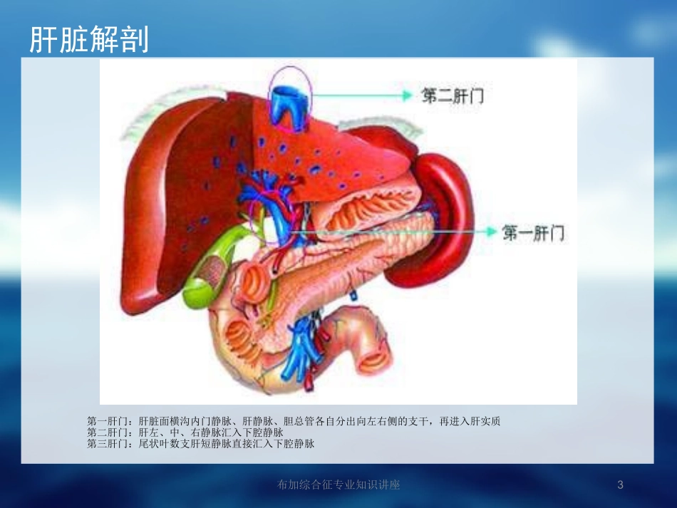 布加综合征专业知识讲座培训课件.pptx_第3页