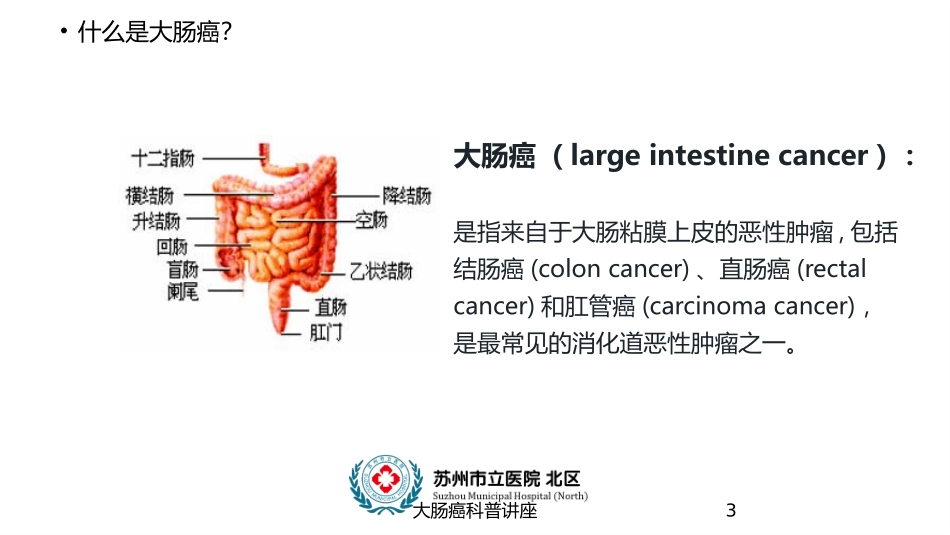 大肠癌科普讲座培训课件.pptx_第3页