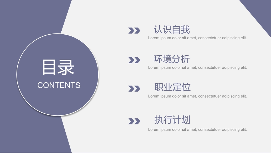 大学生职业规划206.pptx_第2页
