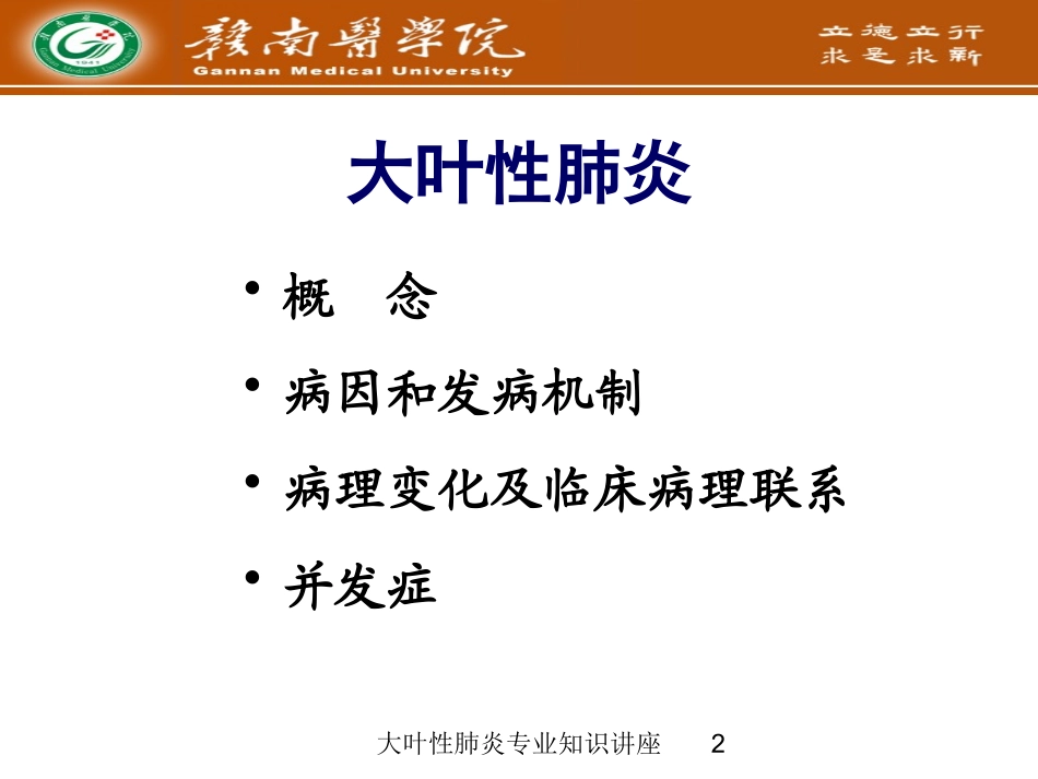 大叶性肺炎专业知识讲座培训课件.pptx_第2页