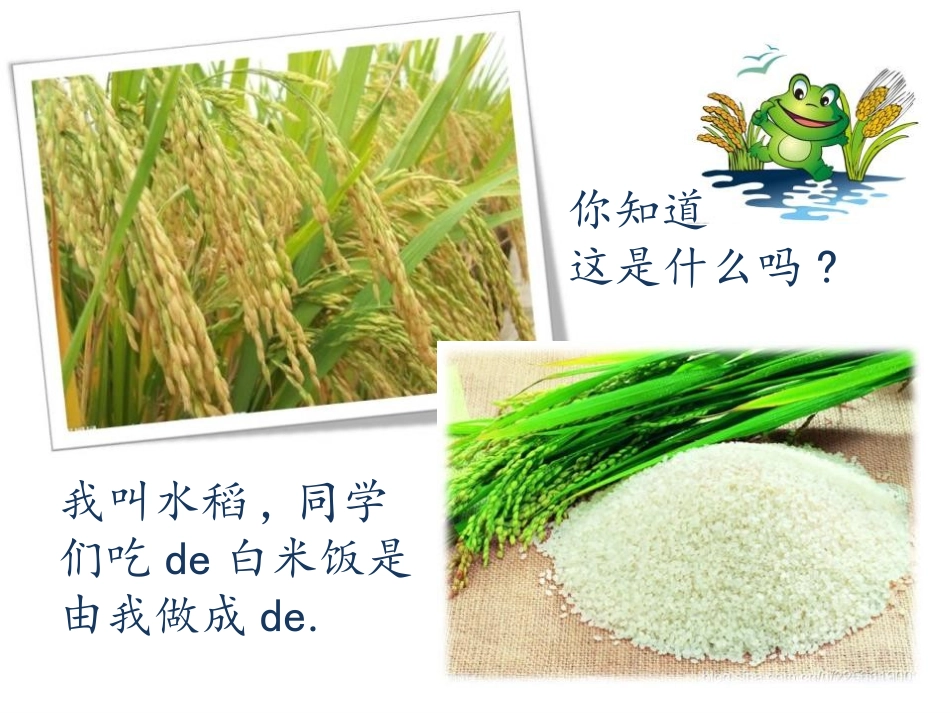 粒粒皆辛苦主题班会 (2).pptx_第2页