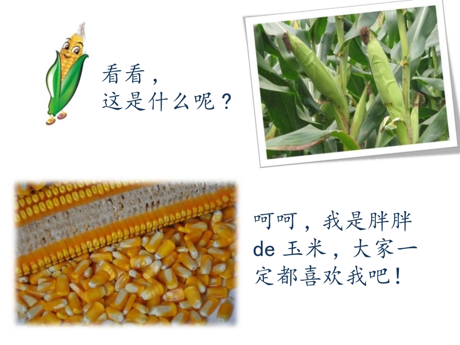 粒粒皆辛苦主题班会 (2).pptx_第3页