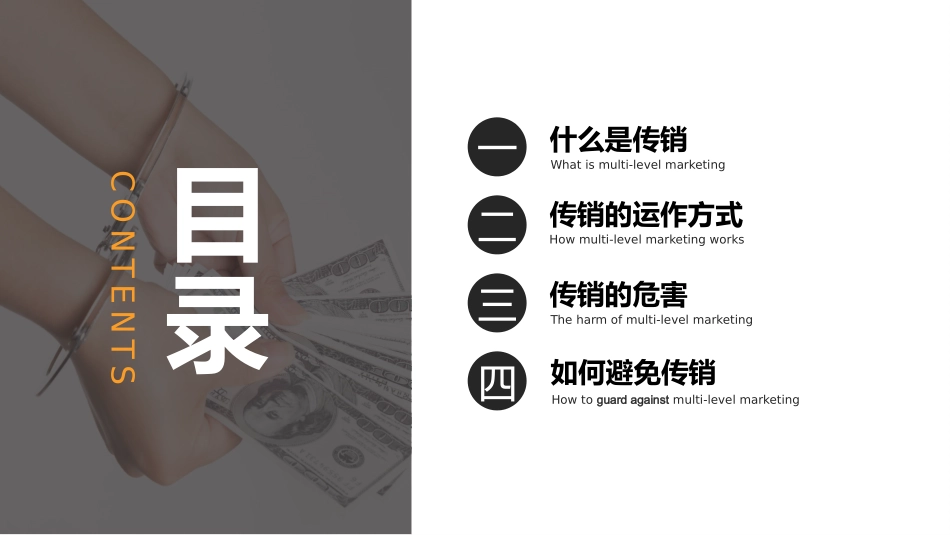 打击非法传销讲座3.pptx_第3页