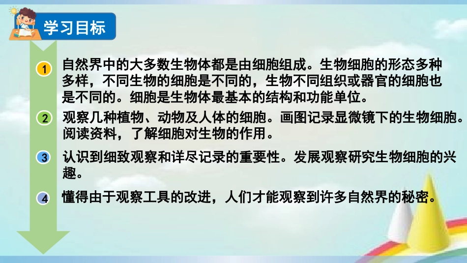 教科版科学六年级上册《观察更多的生物细胞》教学课件.pptx_第3页