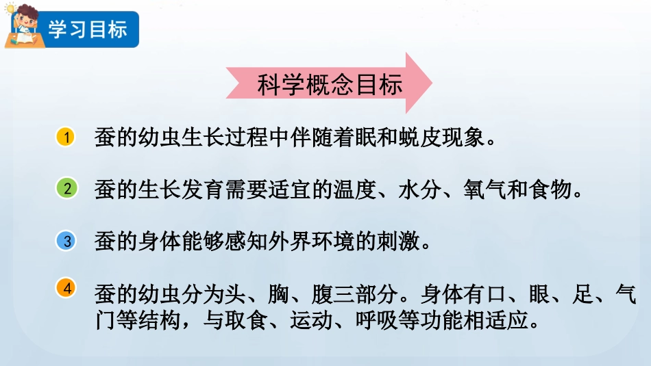 教科版科学三年级下册《蚕长大了》教学课件.pptx_第3页