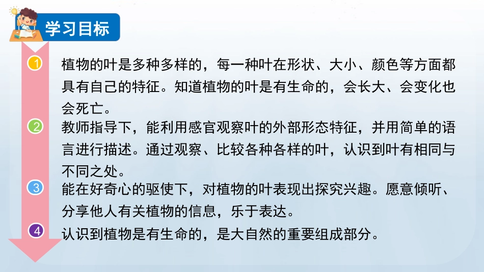 教科版科学一年级上册《观察叶》教学课件.pptx_第3页