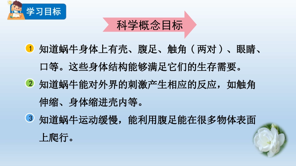 教科版科学一年级下册《观察一种动物》教学课件.pptx_第3页
