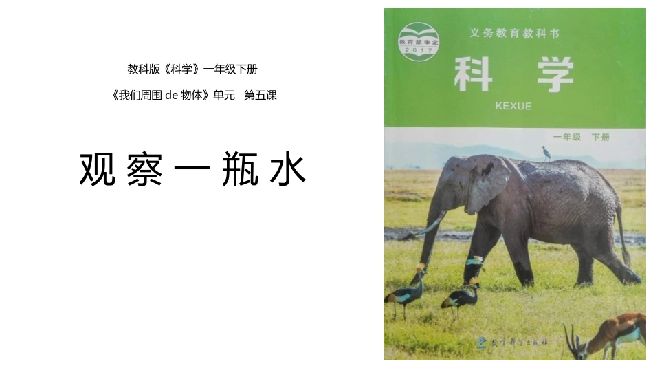 教科版一年级科学下册《观察一瓶水》课件7.pptx_第1页