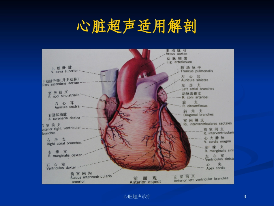 心脏超声诊疗培训课件.pptx_第3页