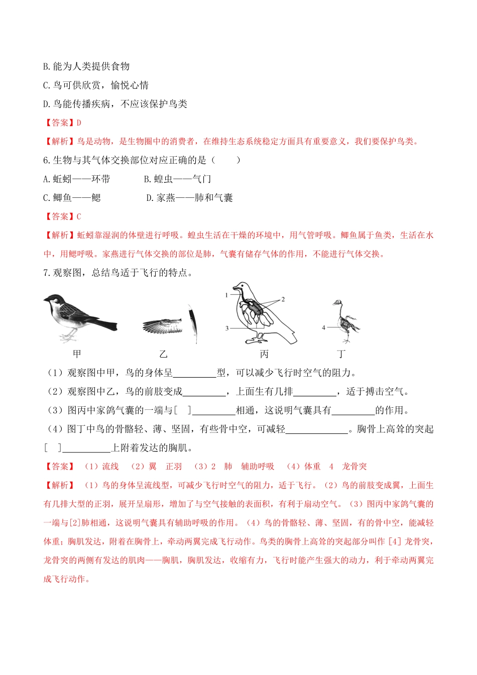 5.1.6鸟八年级生物上册课后培优分级练人教版解析版.pdf_第3页
