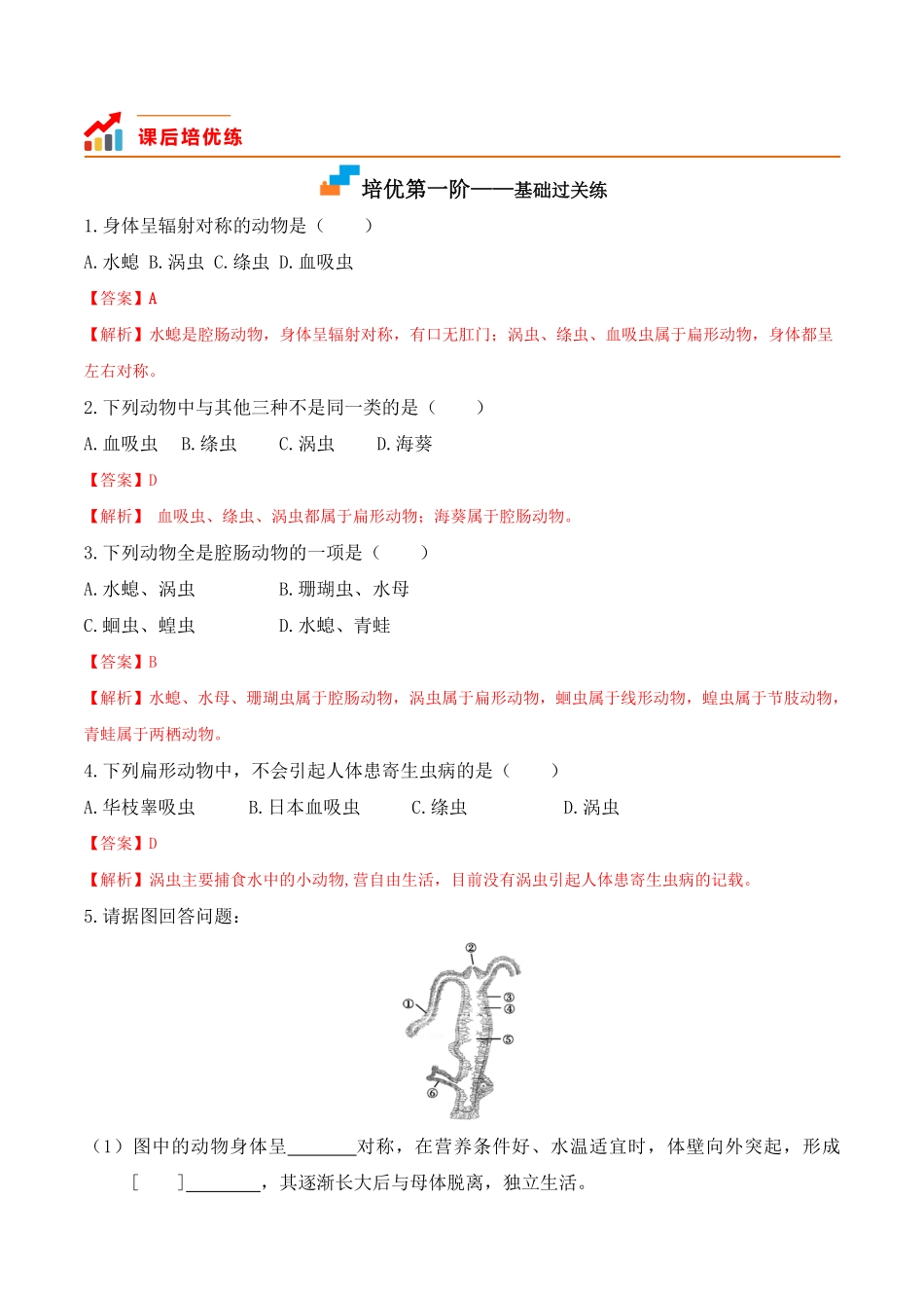 5.1.1腔肠动物和扁形动物八年级生物上册课后培优分级练人教版解析版.pdf_第2页